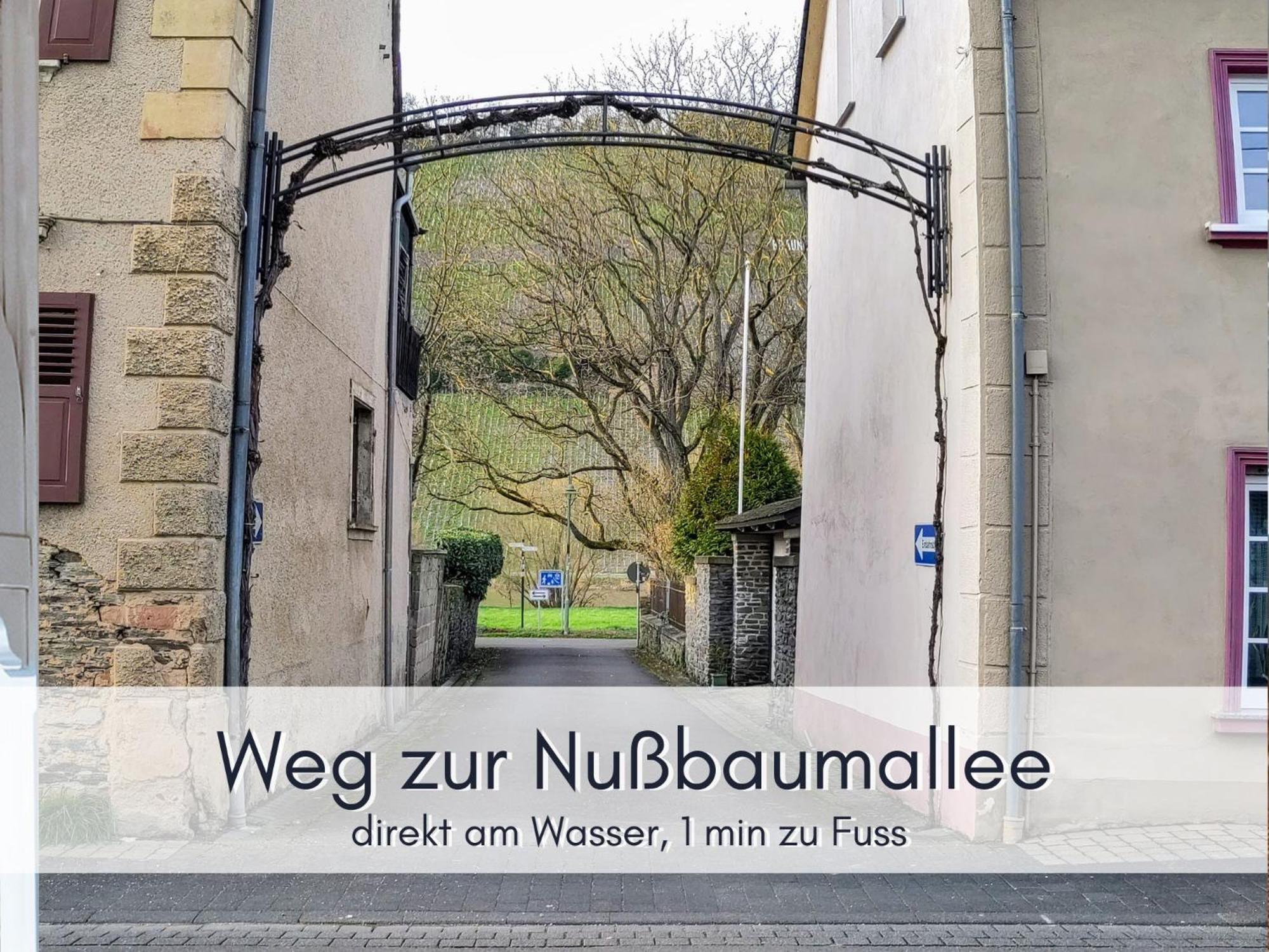 Komfort L Moselstay L Maximal 4 Personen Und Baby I Mosel I Wifi I * Brauneberg