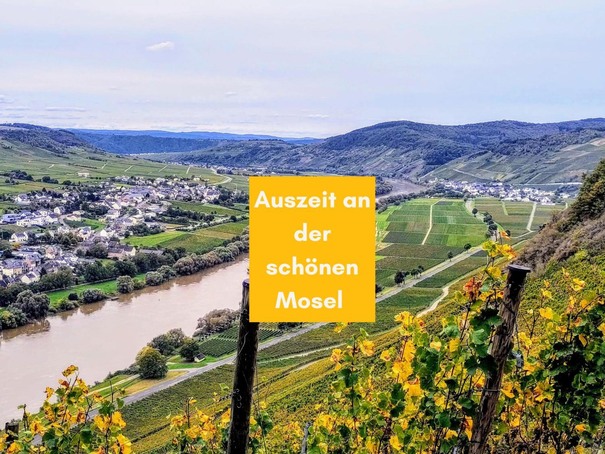 Komfort L Moselstay L Maximal 4 Personen Und Baby I Mosel I Wifi I Apartment