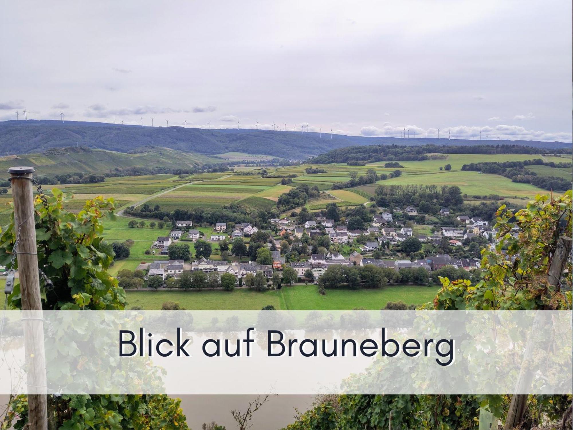 Apartment Komfort L Moselstay L Maximal 4 Personen Und Baby I Mosel I Wifi I *